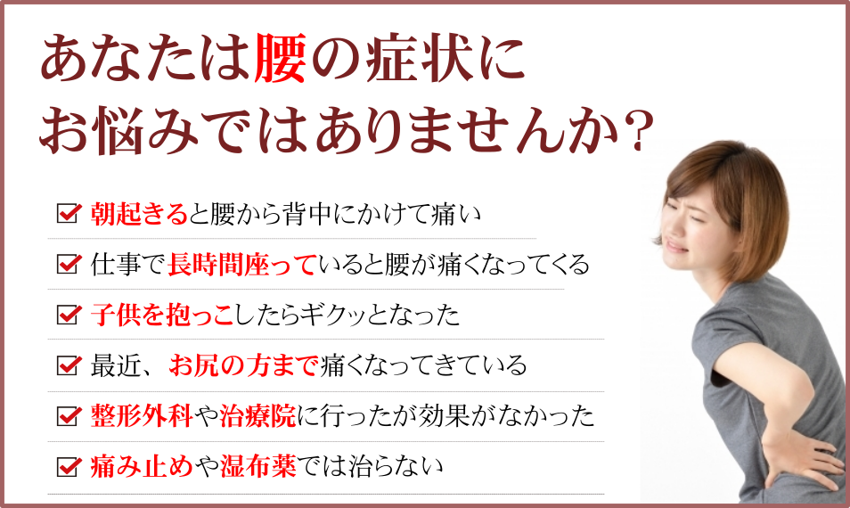 画像の説明 画像の説明